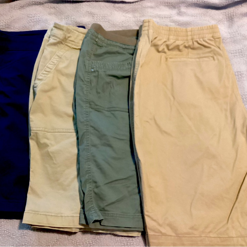 Bundle of Plus Size Women’s Shorts